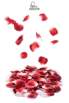 Rose petal Explosion Rose petal Explosion
